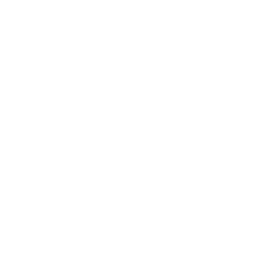 MacSploit